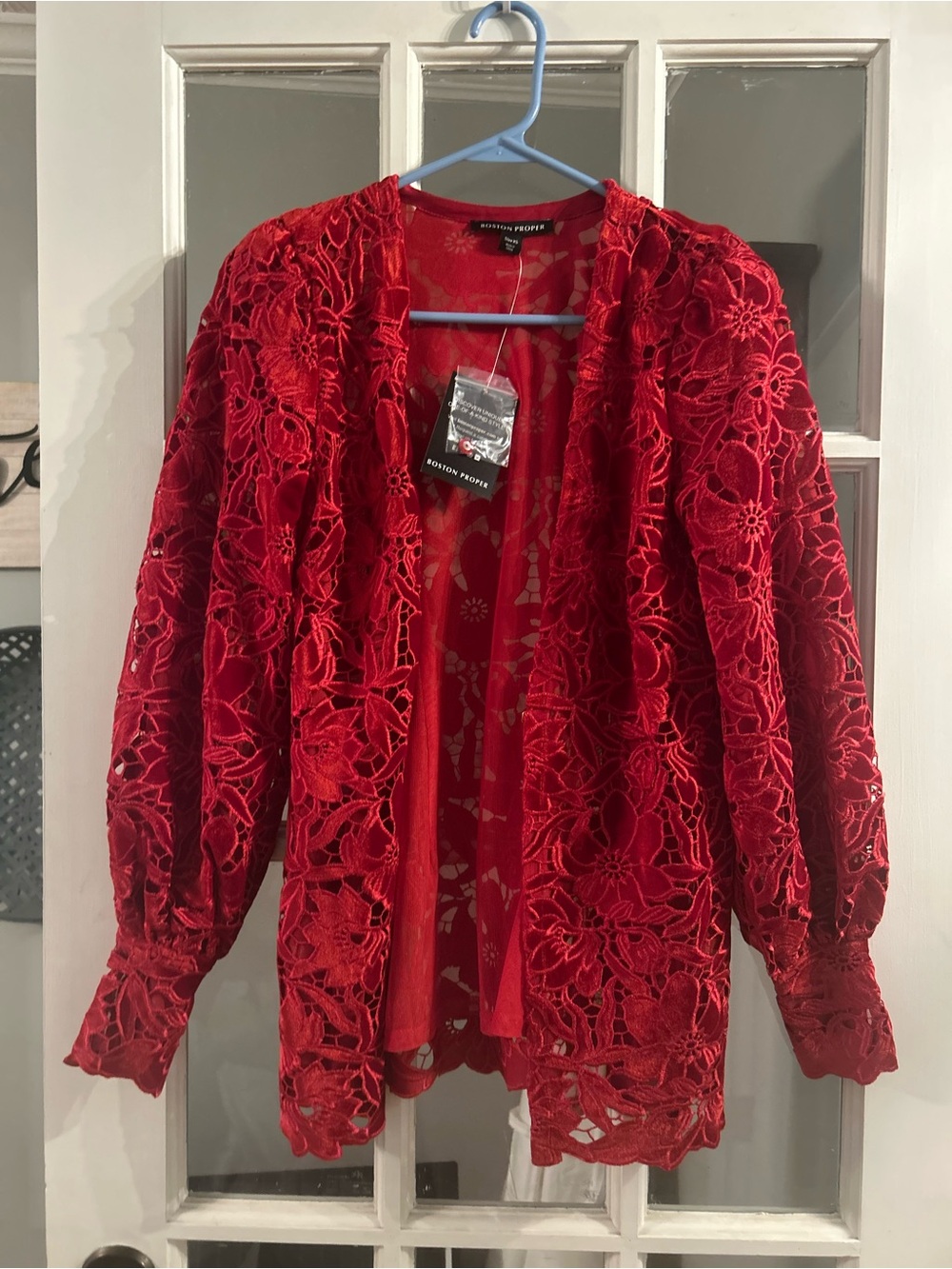 Boston proper velvet floral lace hip duster